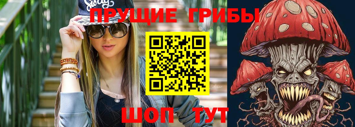 Псилоцибиновые грибы Psilocybe Черкесск