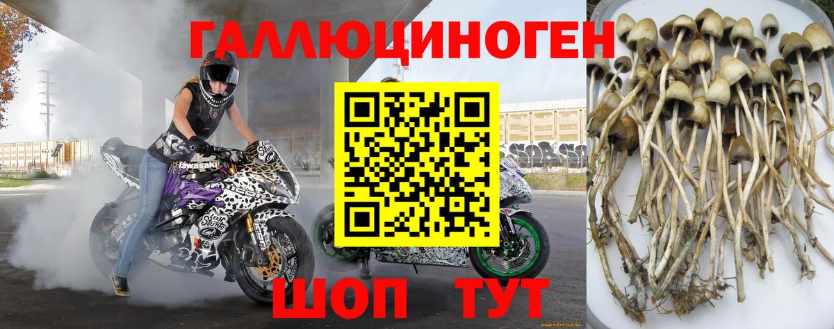 хочу   Псилоцибиновые грибы прущие грибы  Вход с VPN  Черкесск  Галлюциногенные грибы MAGIC MUSHROOMS 